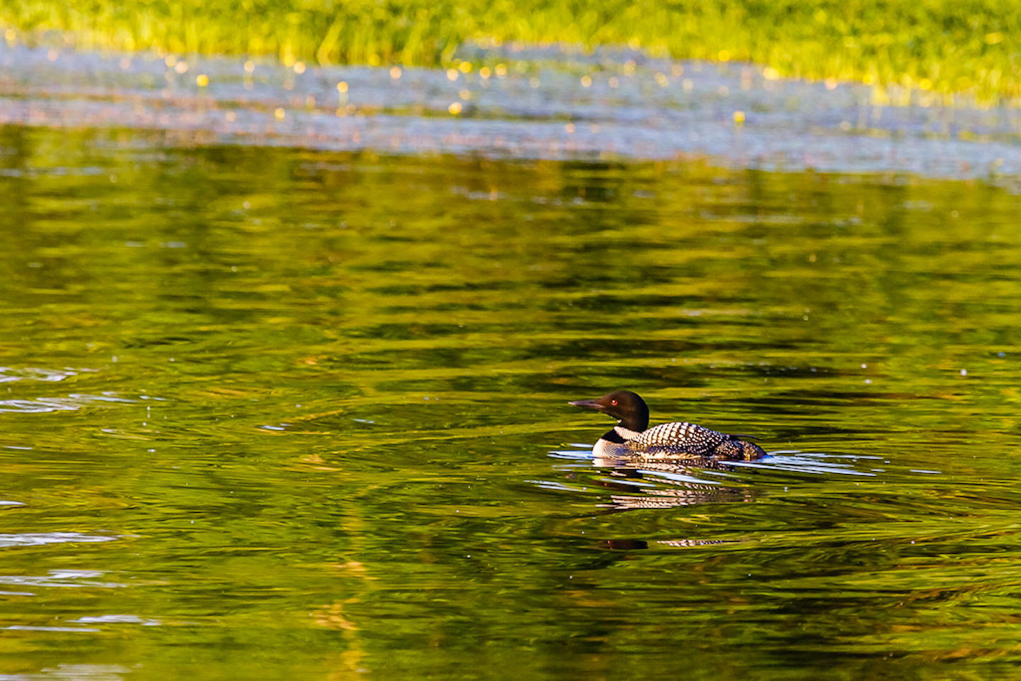 Enviro Lac Gauvreau